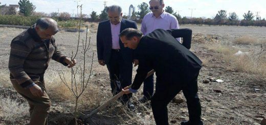 کاشت نهال مثمربه مناسبت روز درختکاری در دانشگاه پیام نور گناباد