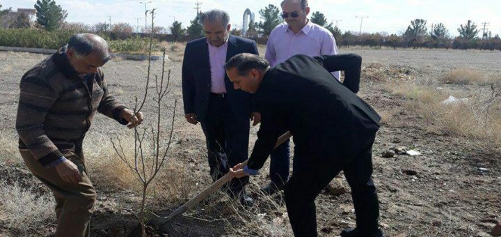 کاشت نهال مثمربه مناسبت روز درختکاری در دانشگاه پیام نور گناباد