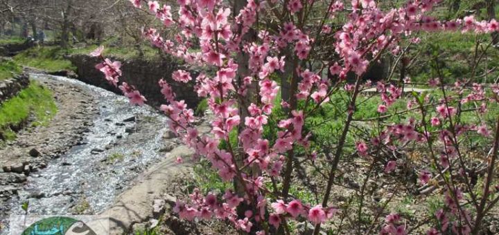 طبیعت زیبای روستای زیرجان