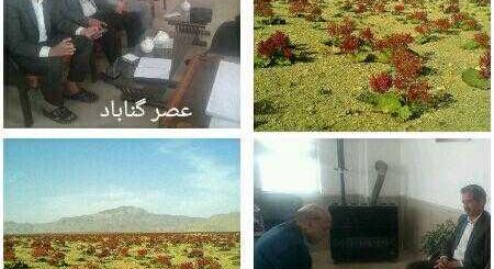 بزرگترین دشت ریواس گناباد با سطح ۵۰۰۰ هکتار در دو طرف جاده زیبد وسنو به گناباد قرار دارد